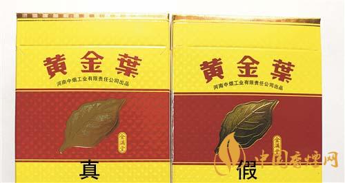 如何辨別黃金葉金滿堂真假？2020黃金葉真假辨別詳情對比