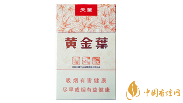 黃金葉天葉真?zhèn)卧趺幢鎰e？天葉真假如何看？