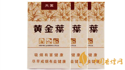 2020黃金葉天葉怎么樣？黃金葉大小天葉有什么不同