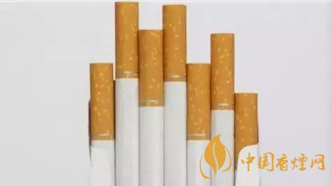 香煙和雪茄哪個(gè)好抽？香煙和雪茄八大區(qū)別介紹2020