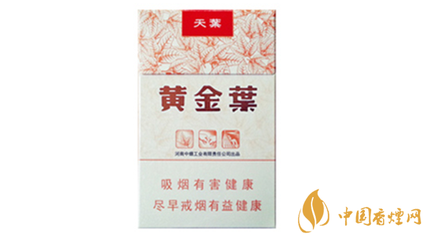 黃金葉天葉真假怎樣區(qū)分？黃金葉天葉真假識(shí)別