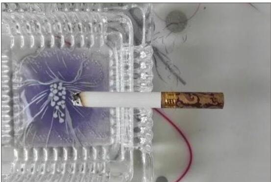 黃鶴樓漫天游，除了短貴沒(méi)別的毛病