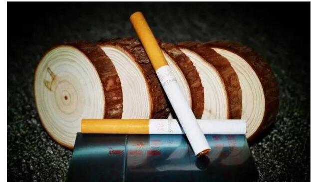 黃鶴樓游泳回歸，爺爺輩最喜愛的香煙品牌